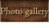 Wolves Tavern Photo Gallery