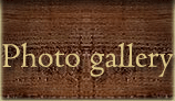 Images of Wolves Tavern